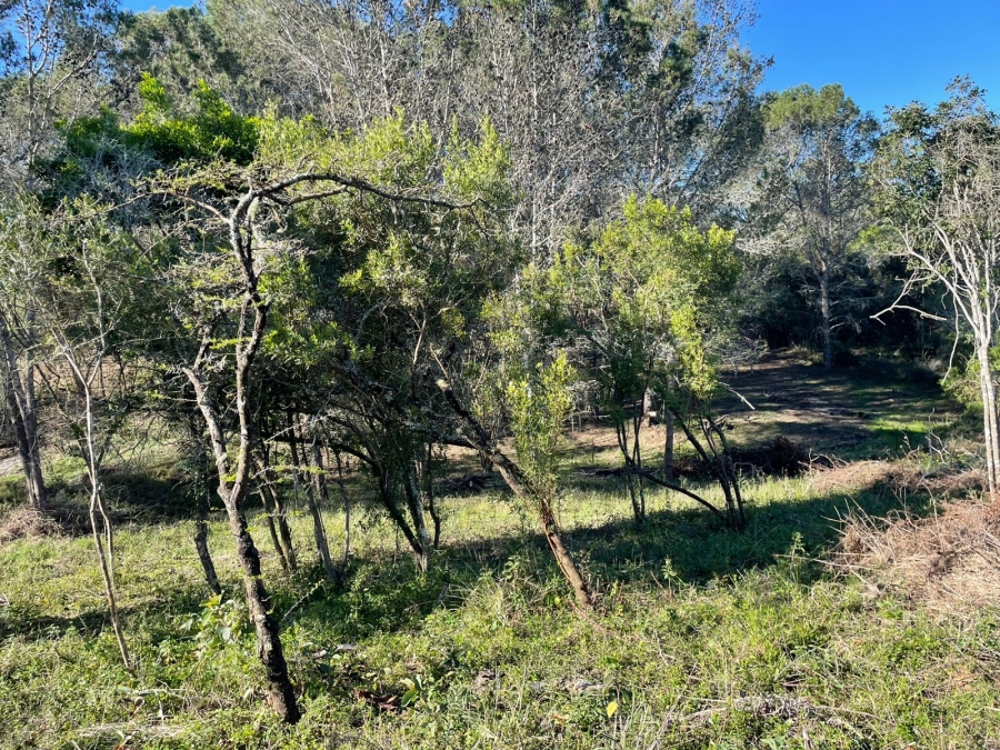 0 Bedroom Property for Sale in Bathurst Eastern Cape